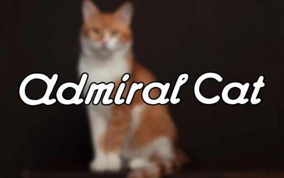 Admiral Cat: A Vintage Font That Elevates Web Design