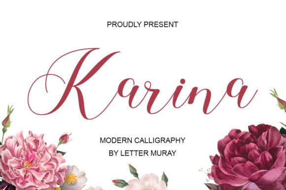 How Karina Transformed My Campaign Visuals
