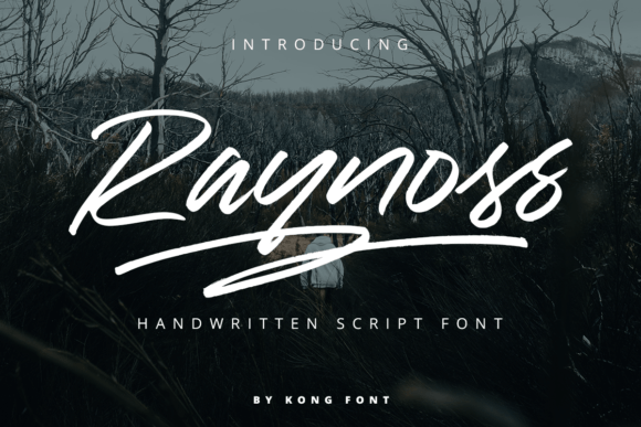 Raynoss: A Playful Handwritten Font for Creative Campaigns